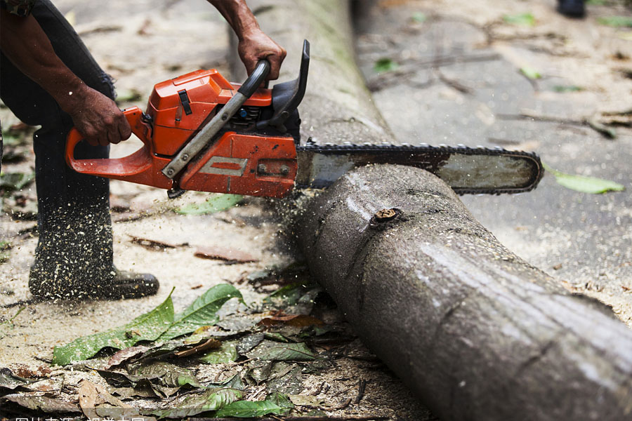 Professional Power Tool Components Manufacturing