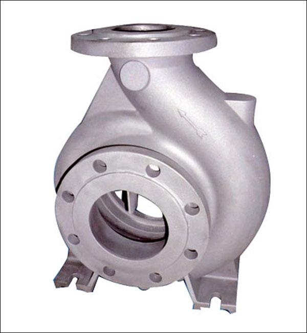 Pump body with inlet flange